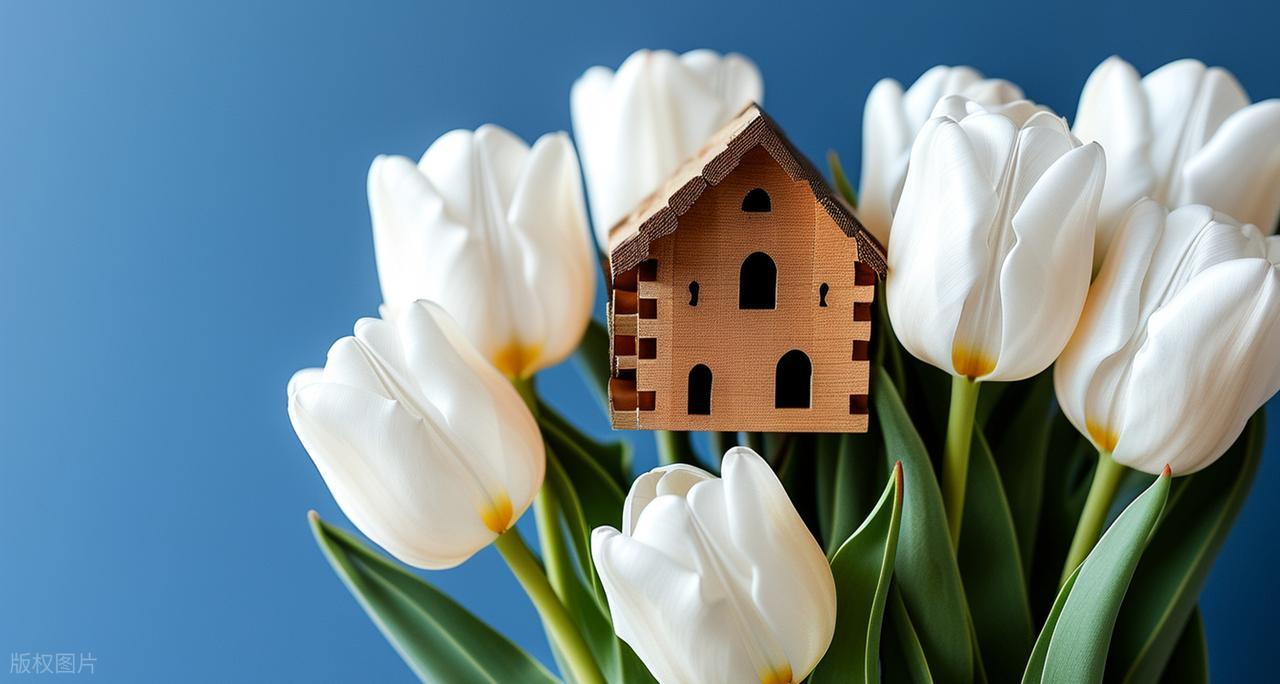 897c2203e5394b0e9d5e601f39e2e83c_tplv-obj (1).jpg